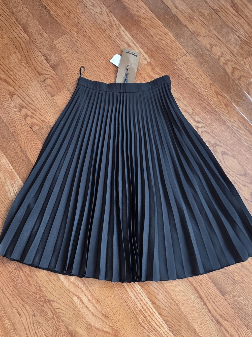 Burberry Black Knife-Pleat A-Line Skirt